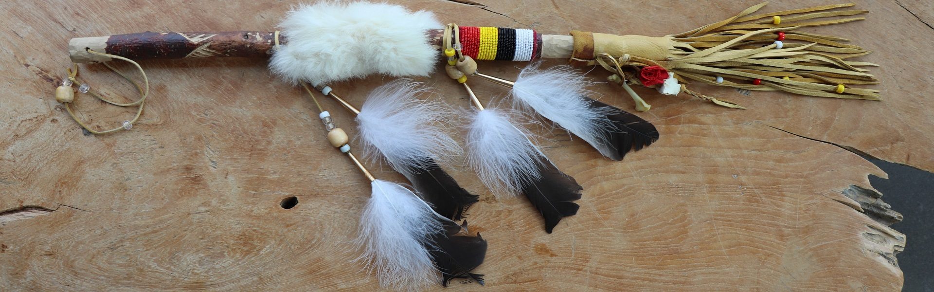 TW-site-Web-activites-Bandeau-baton-de-la-parole