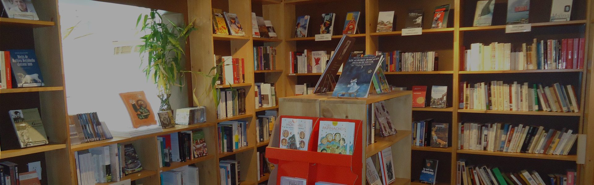 librairie-header