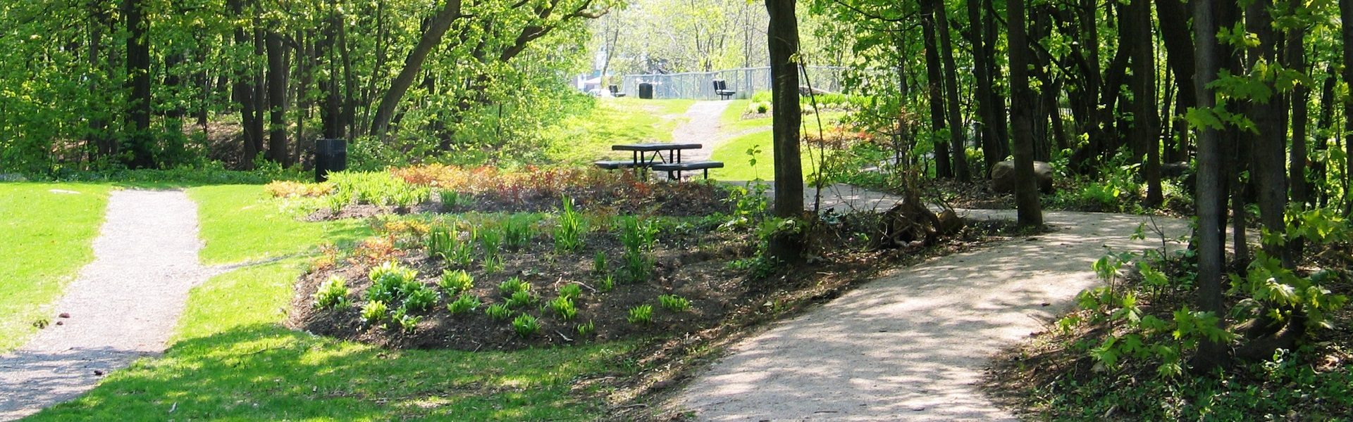 TW-site-Web-activites-Bandeau-rally